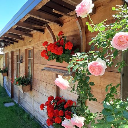 Appartamento Per Vacanze "Il Gelso" Rovereto  Exterior foto