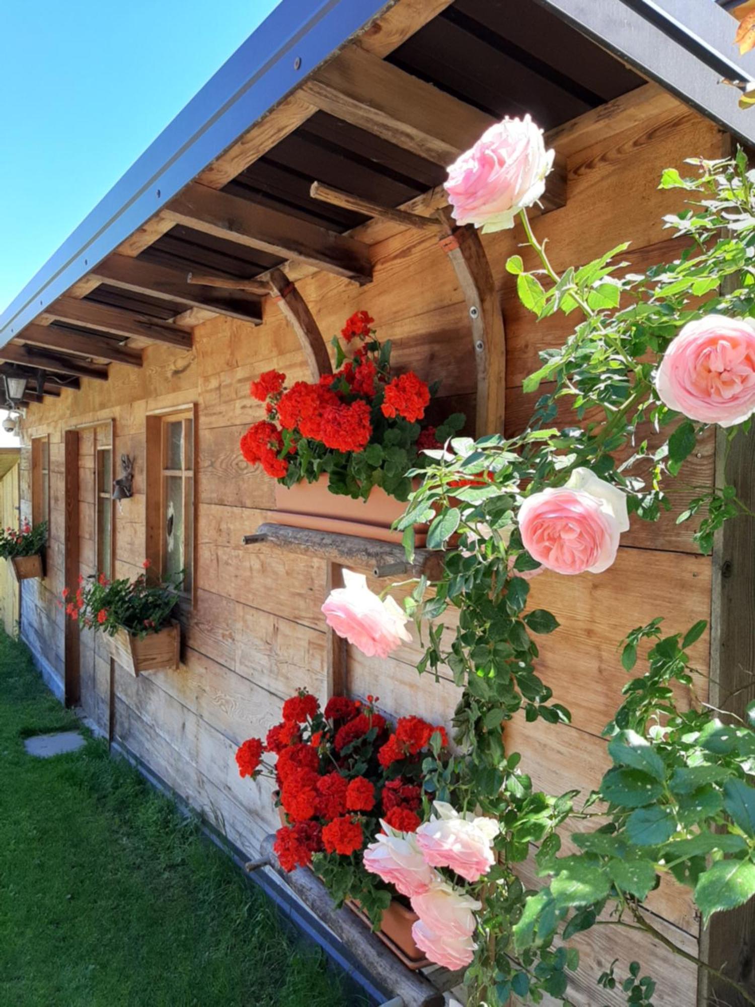 Appartamento Per Vacanze "Il Gelso" Rovereto  Exterior foto