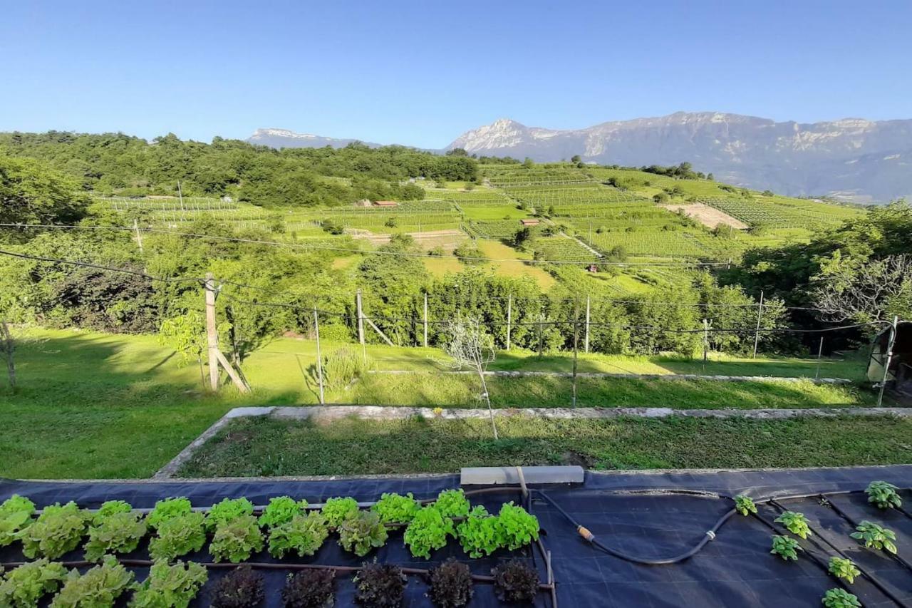 Appartamento Per Vacanze "Il Gelso" Rovereto  Exterior foto