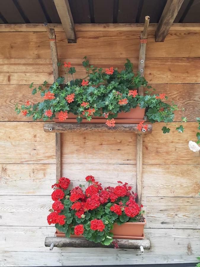 Appartamento Per Vacanze "Il Gelso" Rovereto  Exterior foto